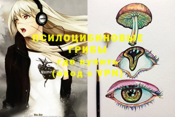 PSILOCYBIN Волосово