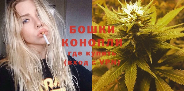 PSILOCYBIN Волосово