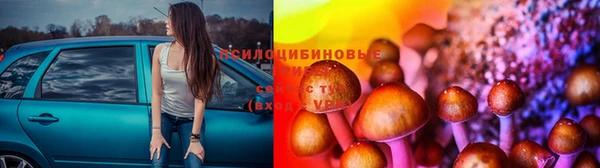 каннабис Верея