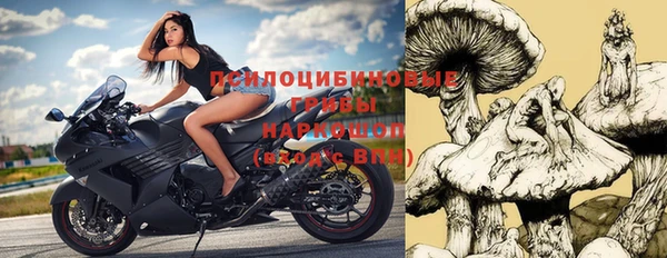 прущие крисы Верхний Тагил
